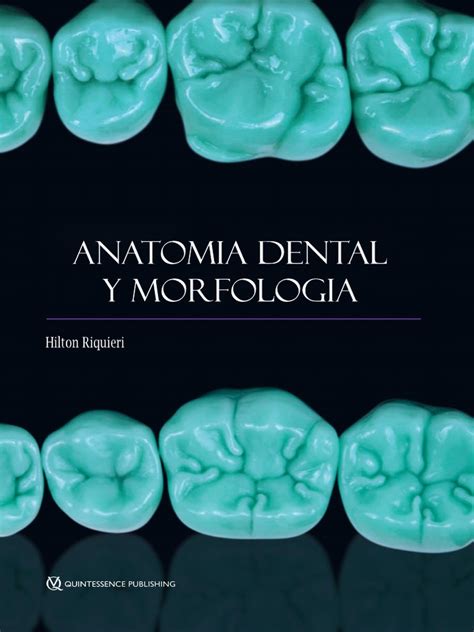 Anatomia Dental Libro