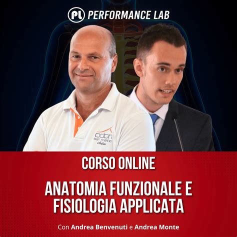 Anatomia Funzionale
