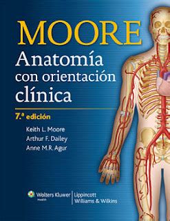 Anatomia Moore 7 Edicion