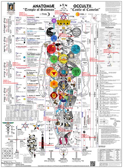 Anatomia Oculta 4