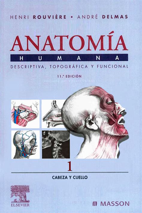 Anatomia Tomo 1