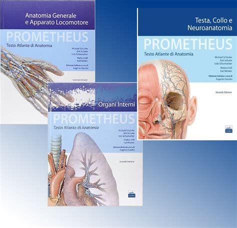 anatomia umana prometheus