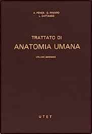 Download Anatomia Cattaneo Download Free Pdf Ebooks About Anatomia Cattaneo Or Read Online Pdf Viewer Pdf 