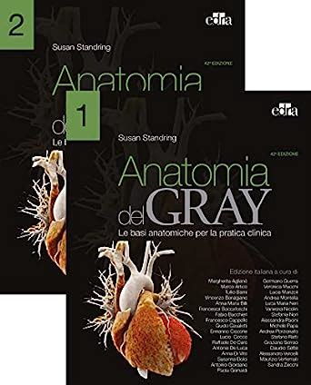 Download Anatomia Del Gray Le Basi Anatomiche Per La Pratica Clinica 2 Vol Indivisibili 
