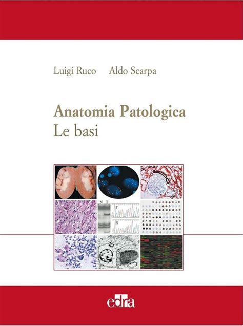 Read Anatomia Patologica Le Basi 1 