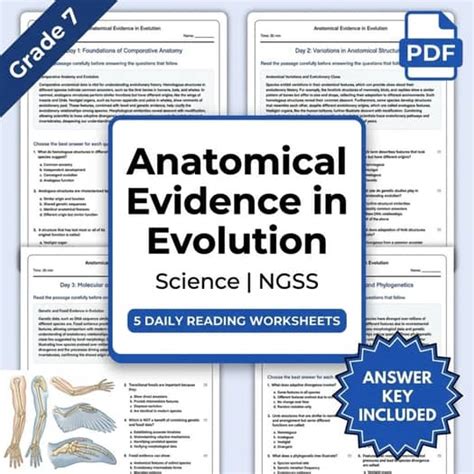 Anatomical Evidence Of Evolution Answer Key