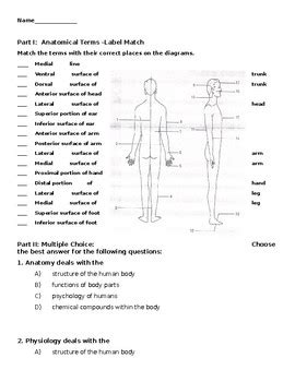 Anatomical Terms Worksheet Anatomical Terms Worksheet Answers - Anatomical Terms Worksheet Answers