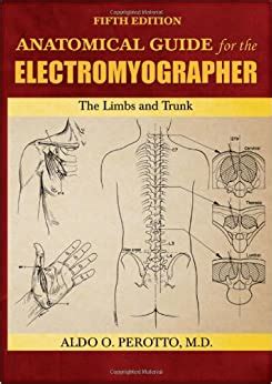 Download Anatomical Guide For The Electromyographer The Limbs And Trunk 