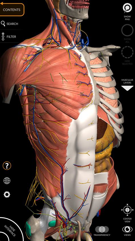 Anatomie 3d Atlas   Anatomy 3d Atlas On The App Store - Anatomie 3d Atlas