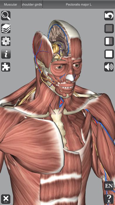 Anatomie 3d Mac   Welcome Anomalous Medical - Anatomie 3d Mac