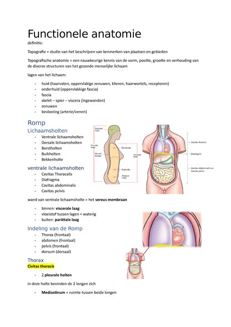anatomie definitie