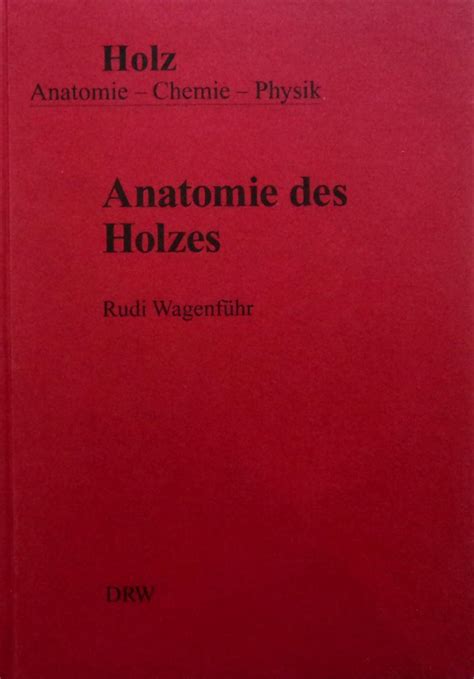 anatomie des holzes