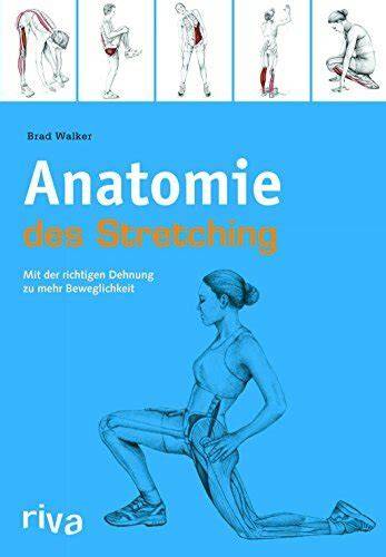 anatomie des stretchings mit der richtigen dehnun