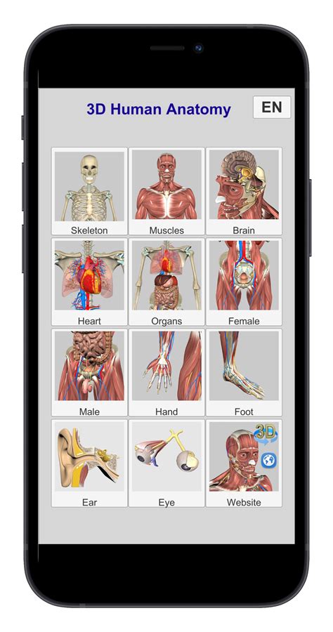 Anatomie En 3d   Home Anatomy App Learn Anatomy 3d Models Articles - Anatomie En 3d