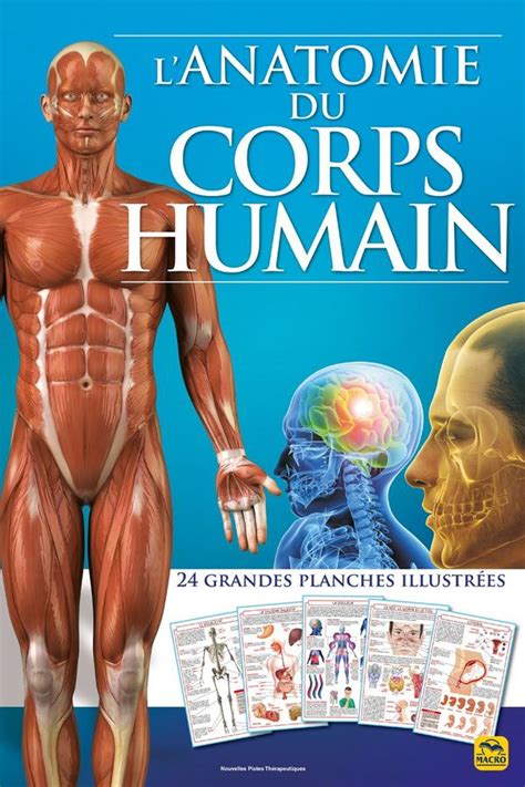 Anatomie Humaine 3d Pdf   Anatomie Du Corps Humain 3d Sur Internet Clic - Anatomie Humaine 3d Pdf