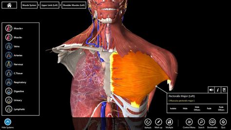 Anatomie Logiciel 3d   Site Anatomie 3d 2018 Claude Bernard University Lyon - Anatomie Logiciel 3d