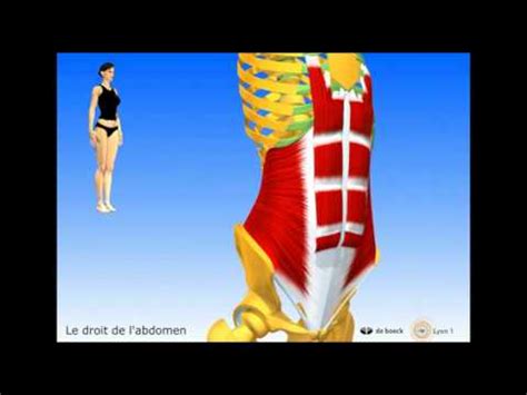 Anatomie Lyon 3d Youtube   Olivier Trost Professeur Du0027anatomie à Lu0027ufr Santé De - Anatomie Lyon 3d Youtube