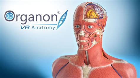 Anatomie Virtuelle 3d   More Info - Anatomie Virtuelle 3d