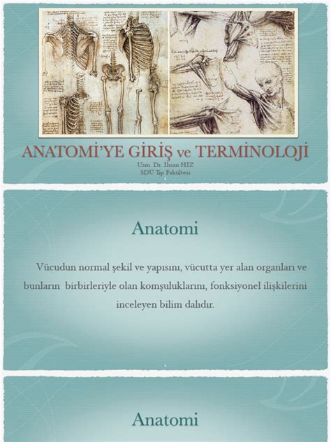 anatomiye giris ve terminoloji Quizlet.