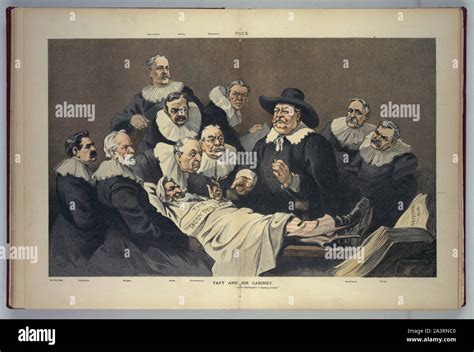 anatomy 6 taft