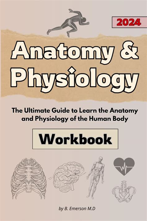 Anatomy Amp Physiology Workbook For Dummies Second Edition