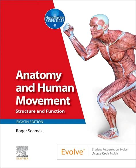 Anatomy And Human Movement Structure And Function Structure And Function Physiotherapy Essentials