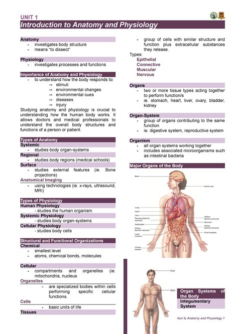 Anatomy And Physiology 1 Notes