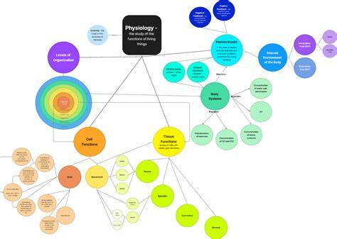 Anatomy And Physiology Concept Map Digestive System