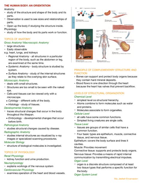 Anatomy And Physiology Notes In Hindi