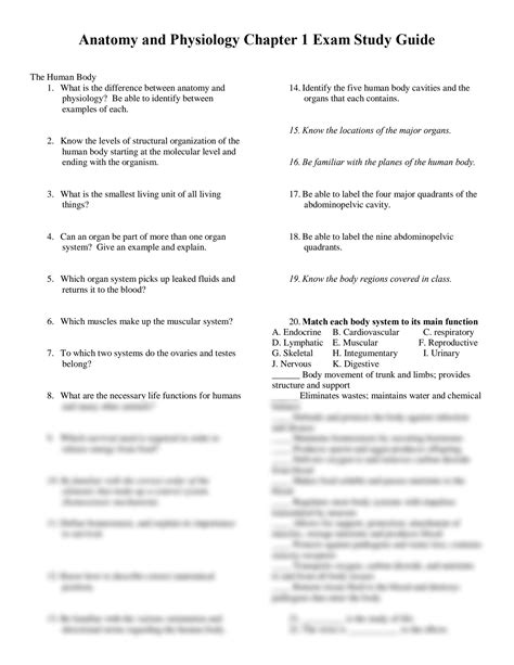 Anatomy And Physiology Study Chapter 7