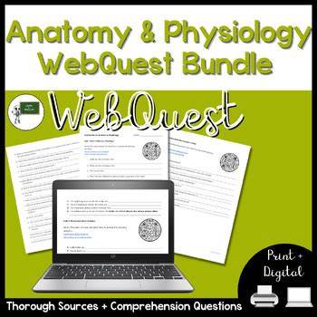 anatomy and physiology web quest wikispaces