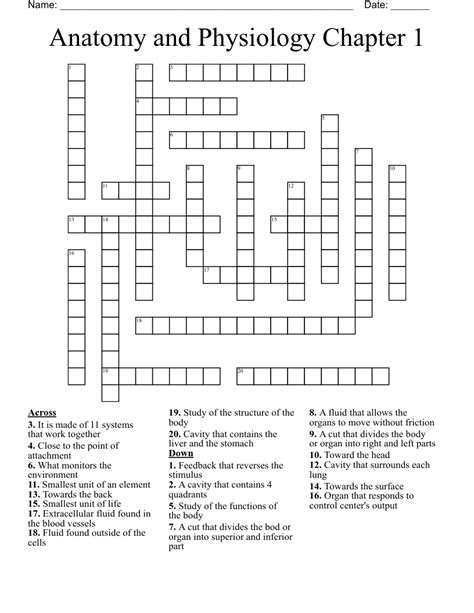 Anatomy And Physiology Week 1 Crossword Puzzle Assignment Physical Education 23 Crossword Answer Key - Physical Education 23 Crossword Answer Key
