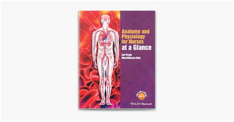 Anatomy At A Glance