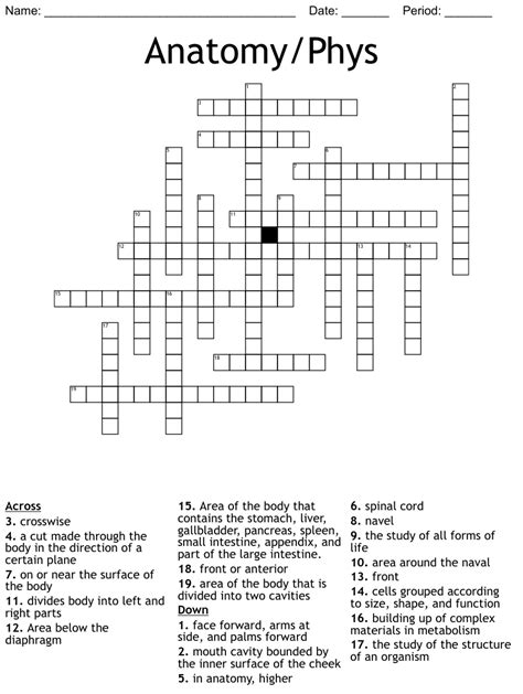 Anatomy Chapter 6 Crossword Answers Flashcards Quizlet Human Body Systems Crossword Puzzle Answer - Human Body Systems Crossword Puzzle Answer