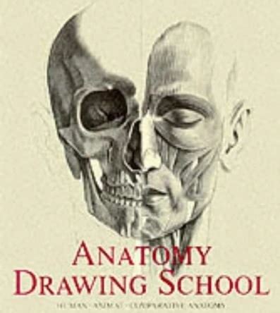 Anatomy Drawing School