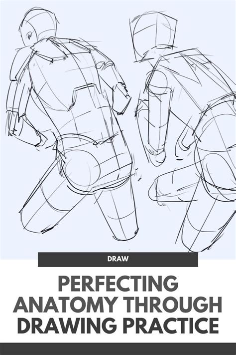 Anatomy For Drawing