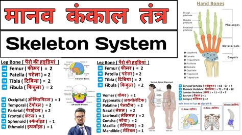 Anatomy Hindi Notes