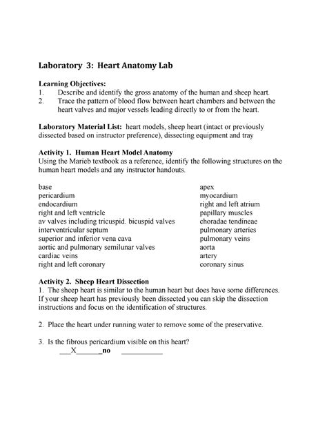 Anatomy Lab Heart Learning Objectives Answers