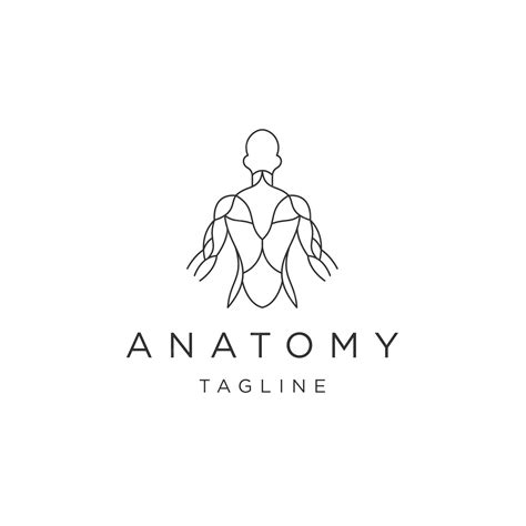 anatomy logo