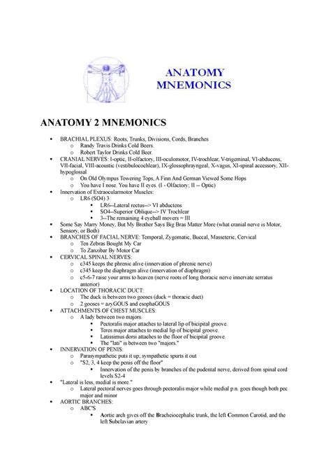 Anatomy Mnemonics 2