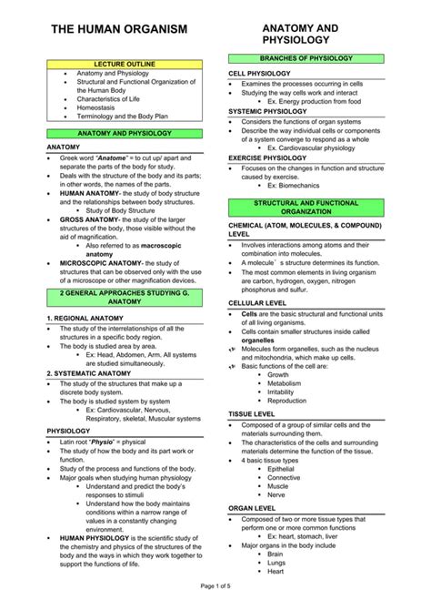 Anatomy Notes Pdf