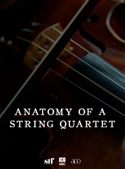 Anatomy Of A String Quartet