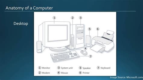 Anatomy Of Computer