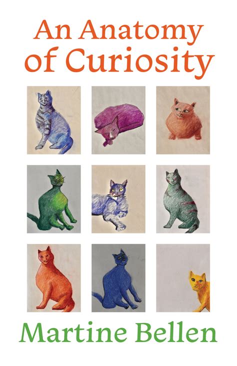 anatomy of curiosity