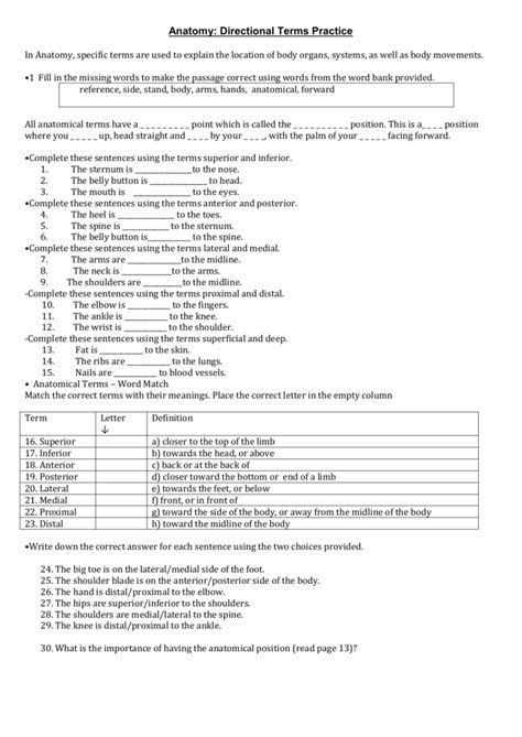 anatomy of word construction answer key