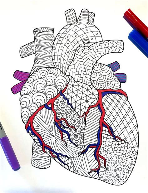 Anatomy Pattern Coloring Page Free Printable Coloring Pages Ear Anatomy Coloring Page - Ear Anatomy Coloring Page