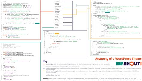 Anatomy Pdf Wordpress