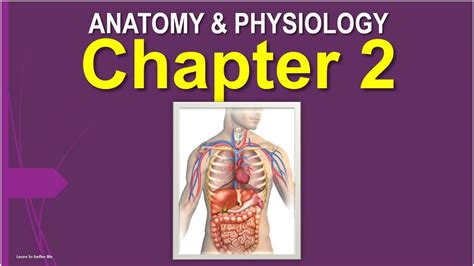 Anatomy Physiology 1 Chapter 2 Test