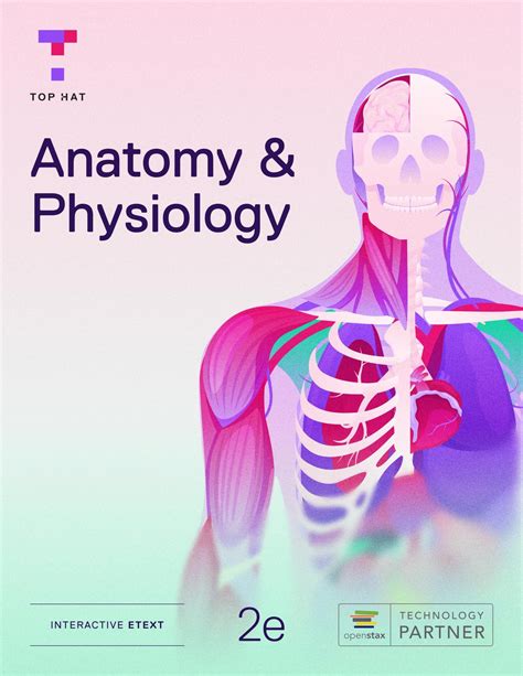Anatomy Physiology 2e