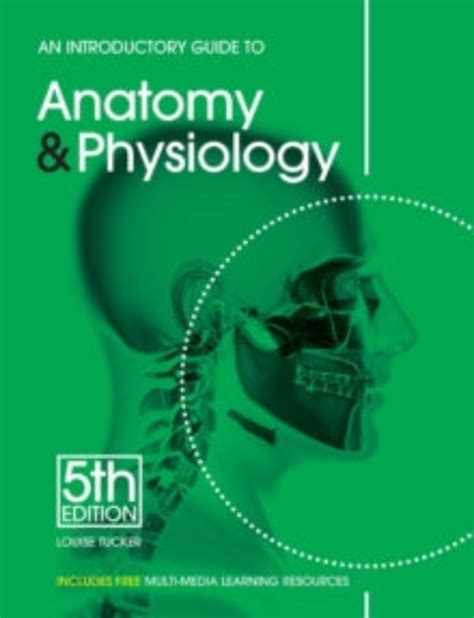 Anatomy Physiology 5th Edition